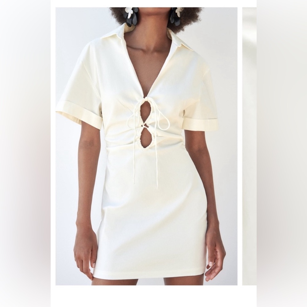 Nwt Zara dress
